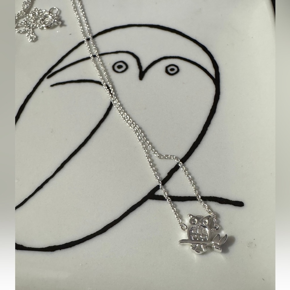 Silver Owl Pendant Necklace + Picasso Trinket Tray